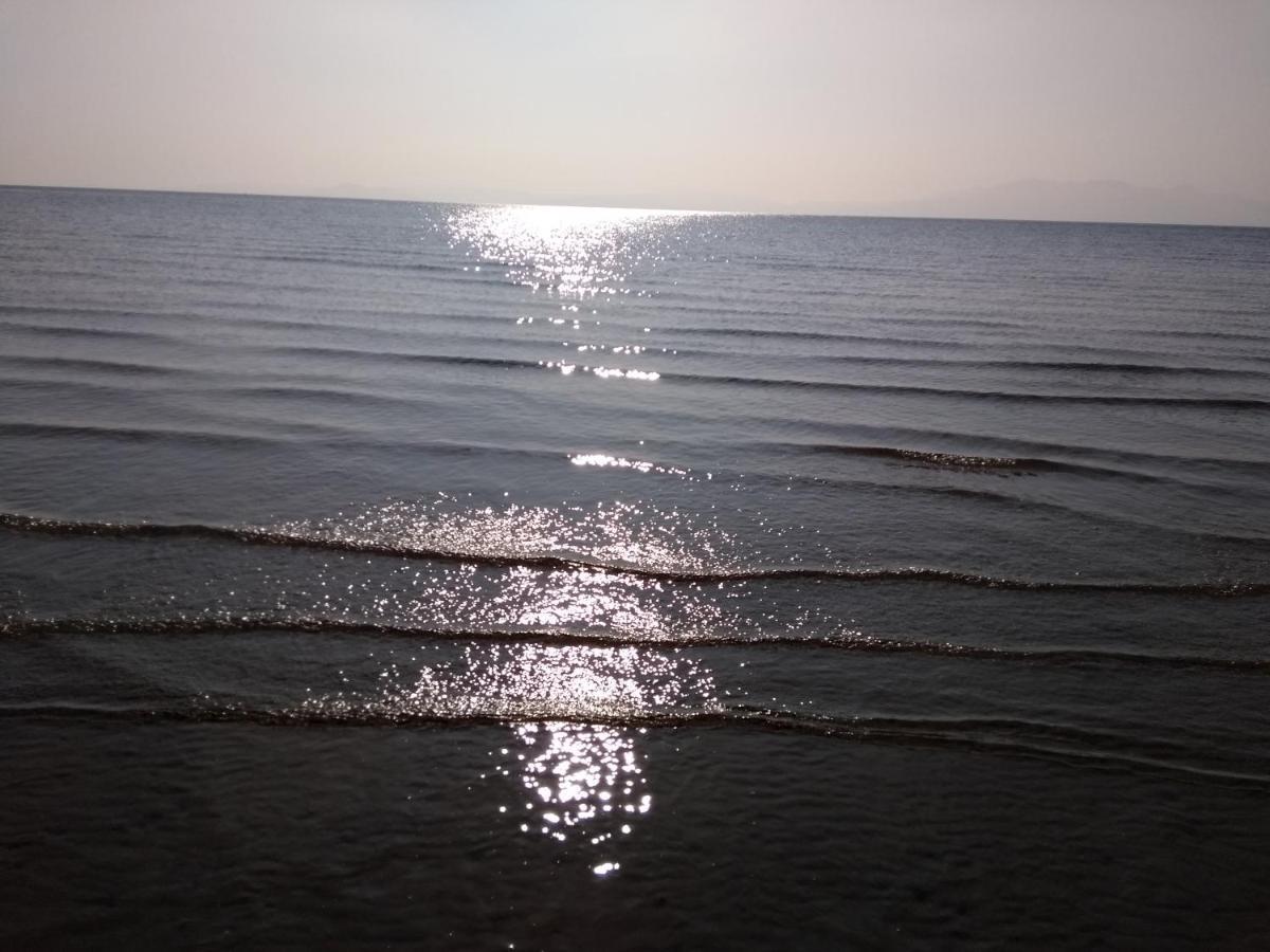 Cleeves Cabins Ailsa Luxury Lodge With Hot Tub Dalry  Екстериор снимка